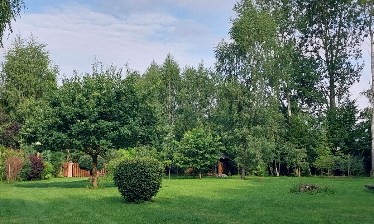 190060_3