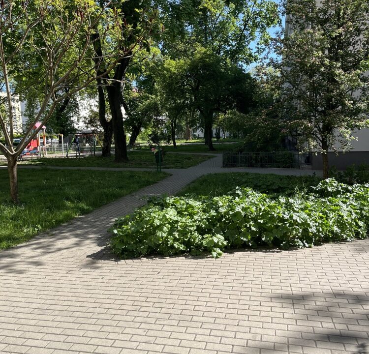 190355_3