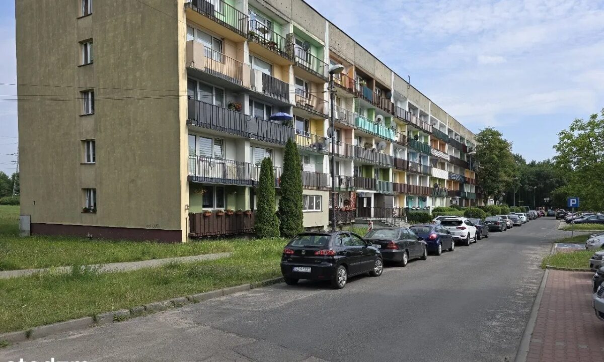 191265_3.jpg