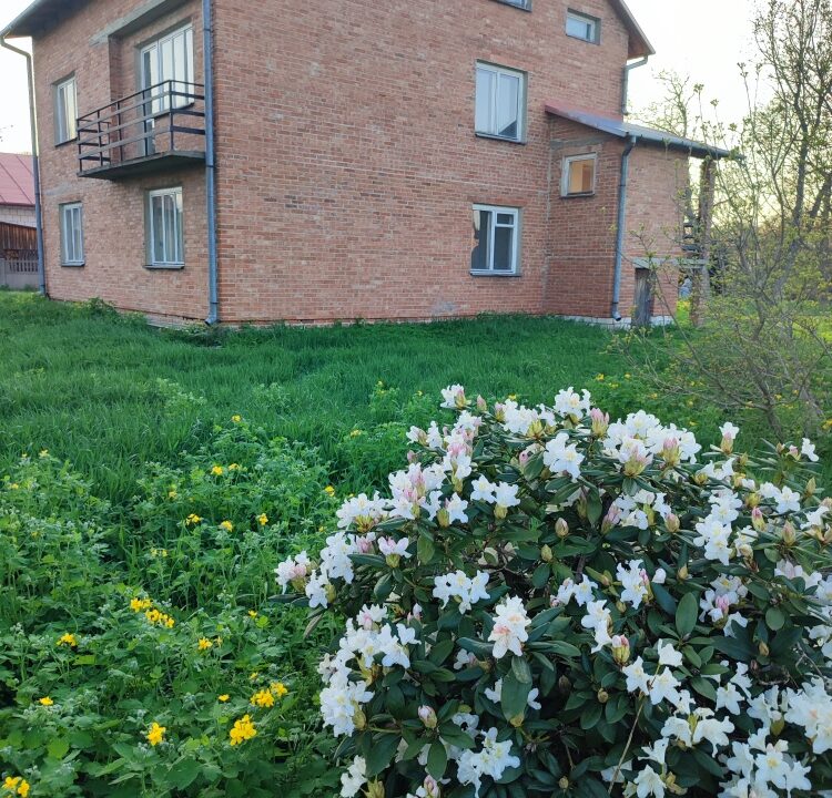 192052_3.jpg
