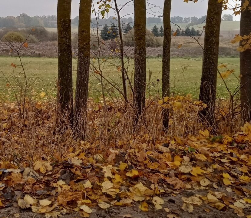 192362_3