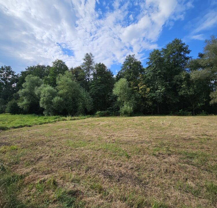 200370_3.jpg
