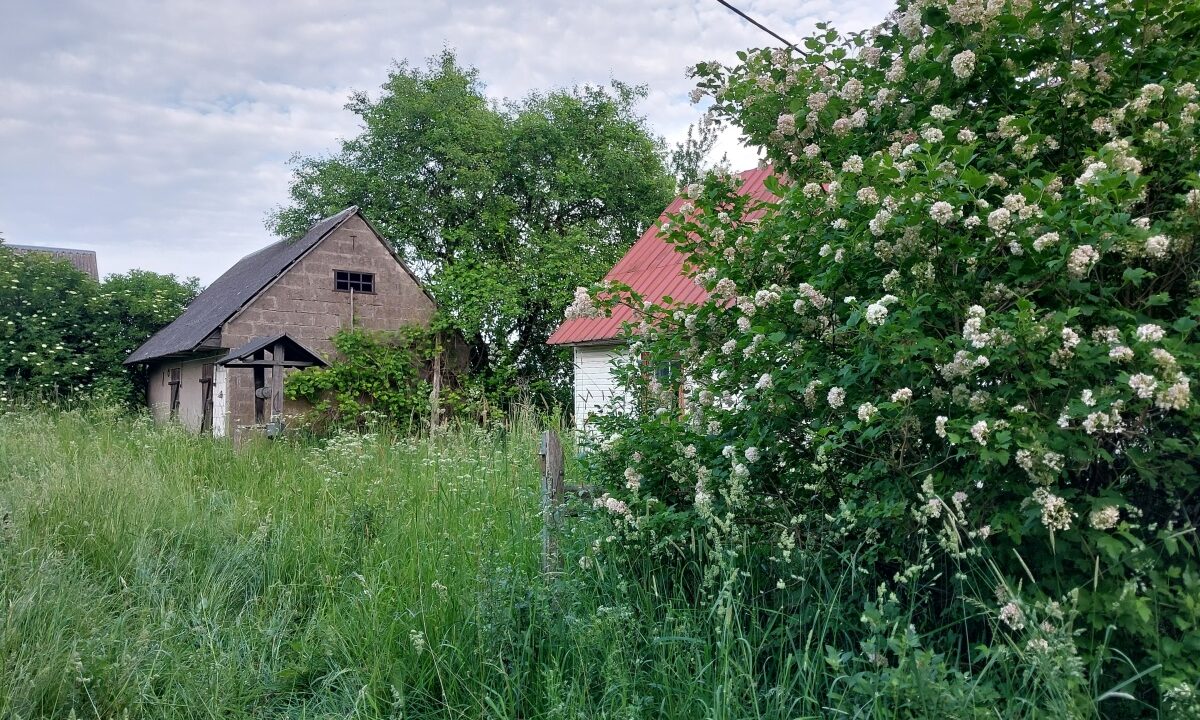 201027_3.jpg