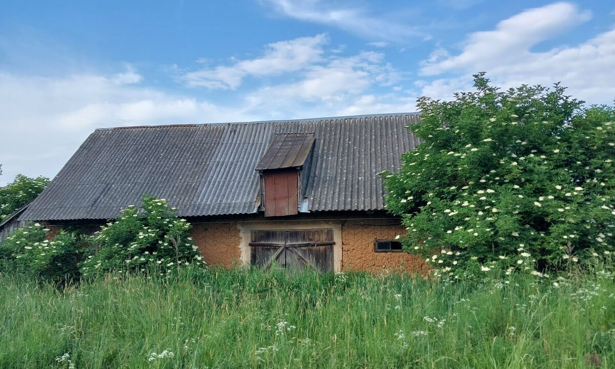 201032_3