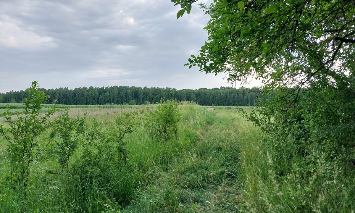 201033_3