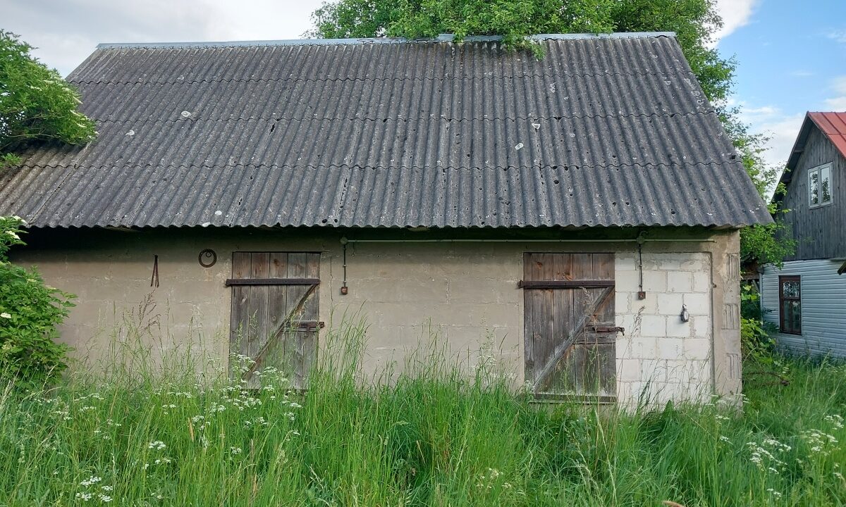 201036_3