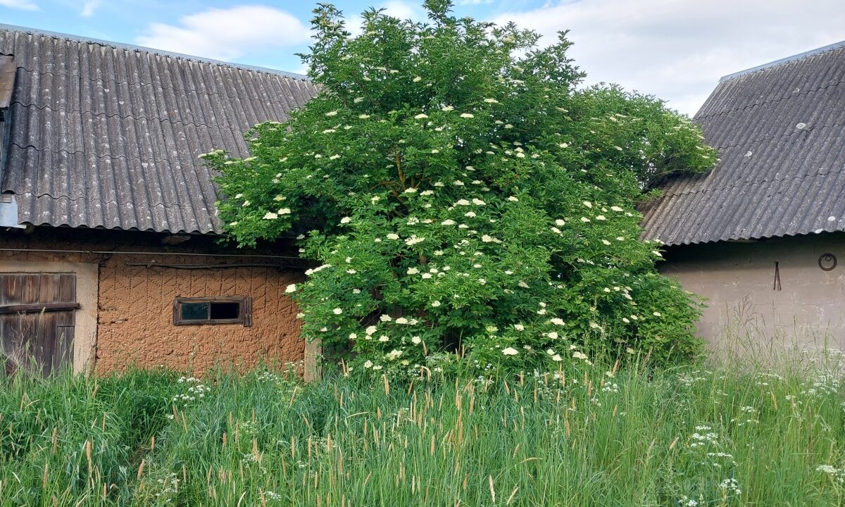 201037_3