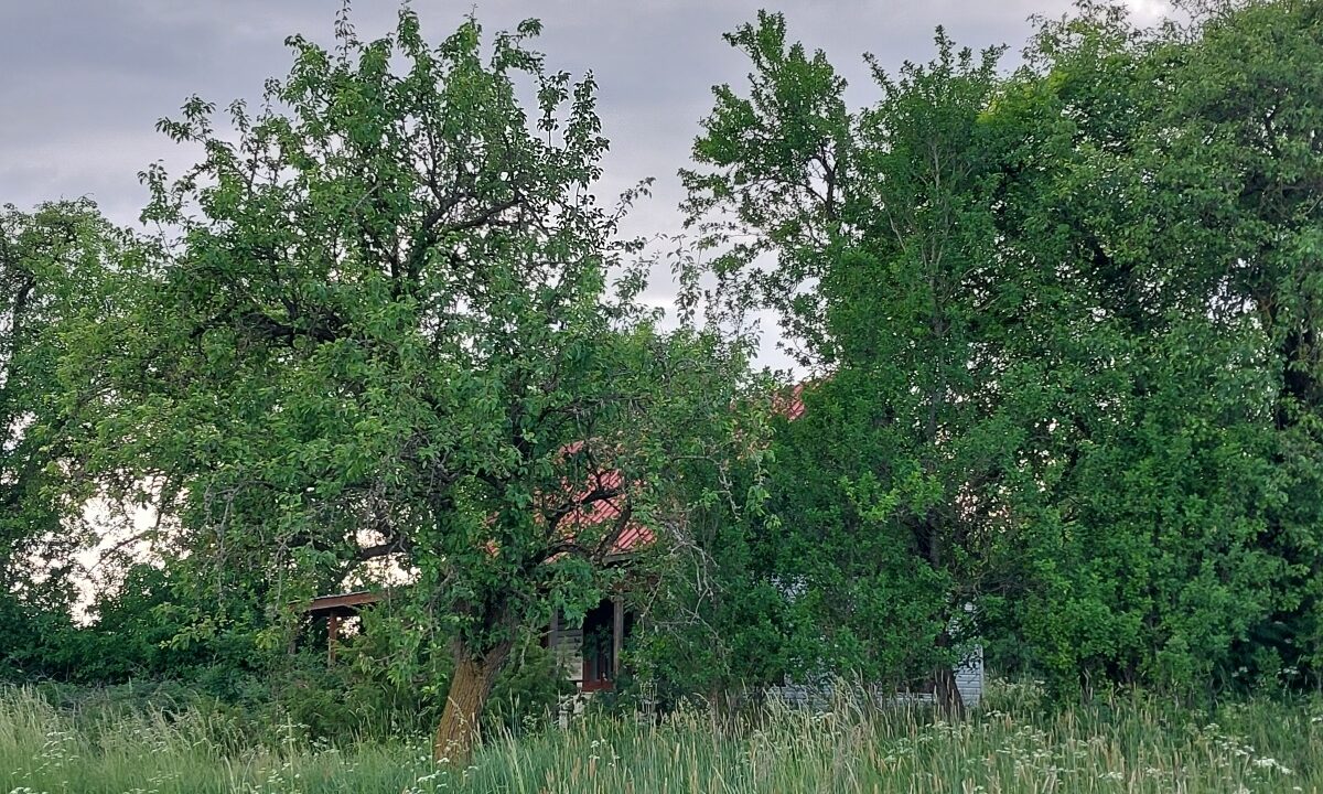 201039_3