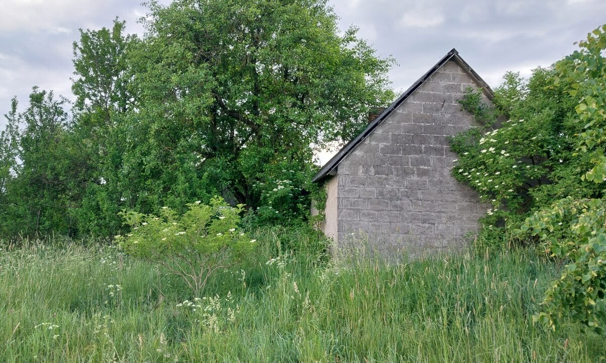 201040_3