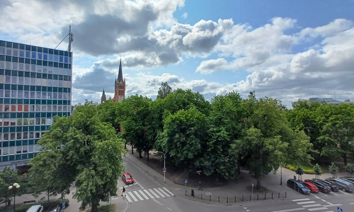 201058_3.jpg