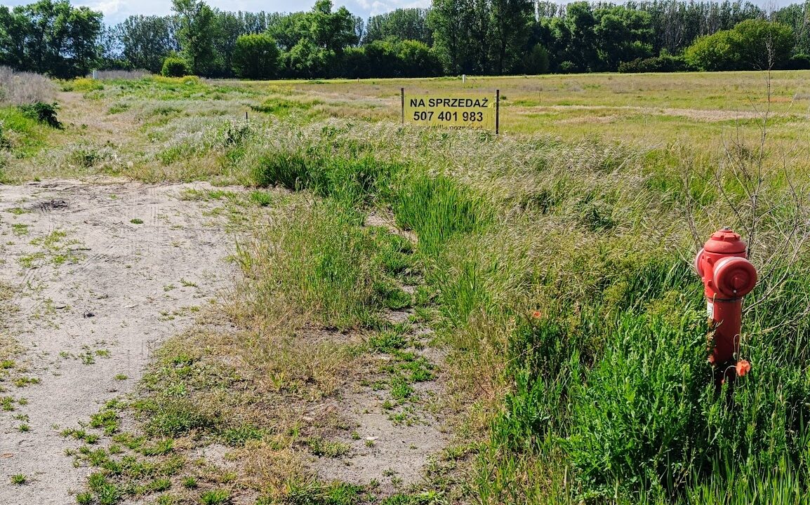 201155_3
