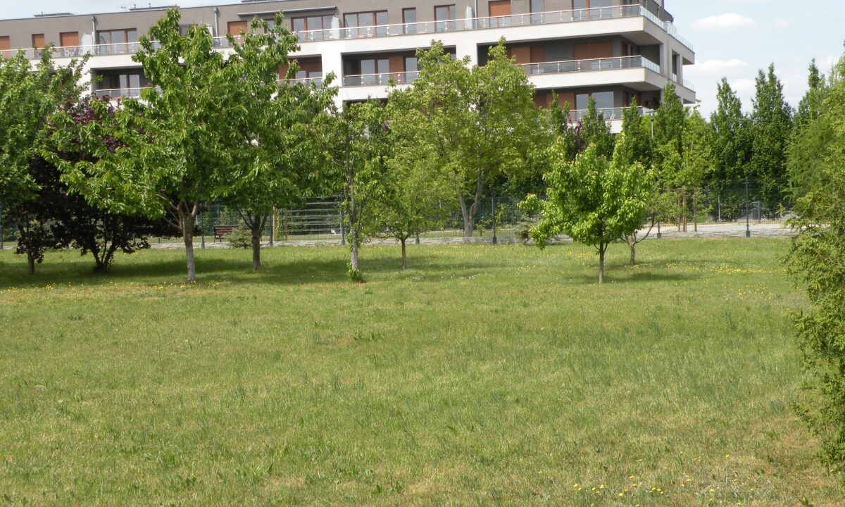 201216_3