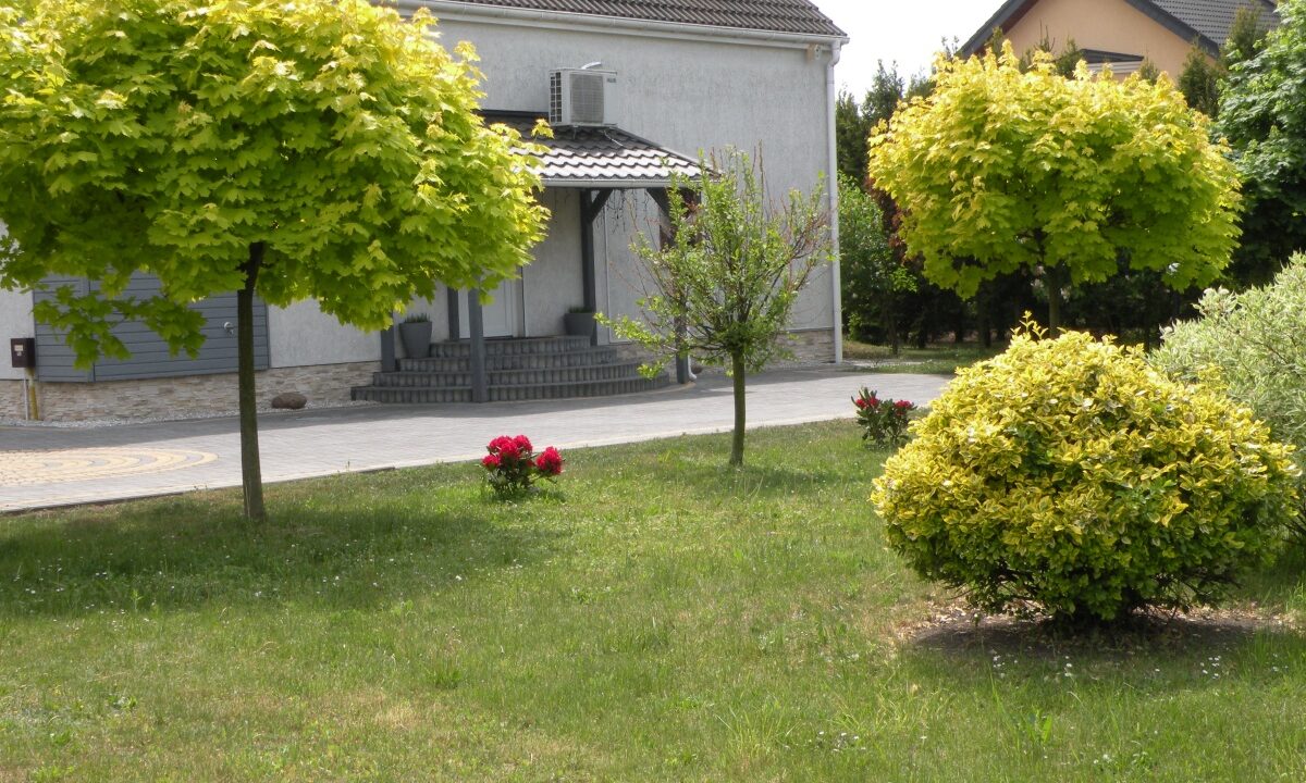 201224_3