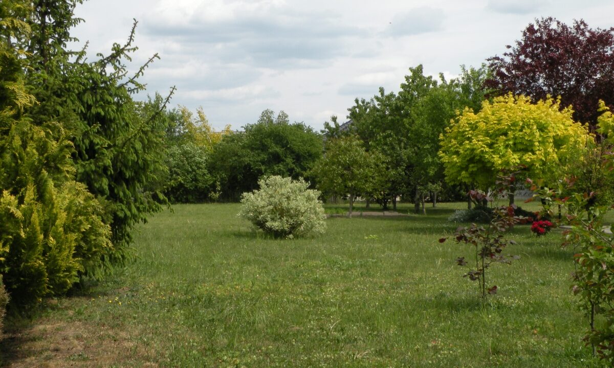 201225_3