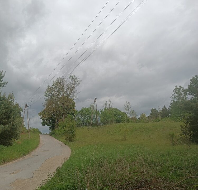 201569_3.jpg