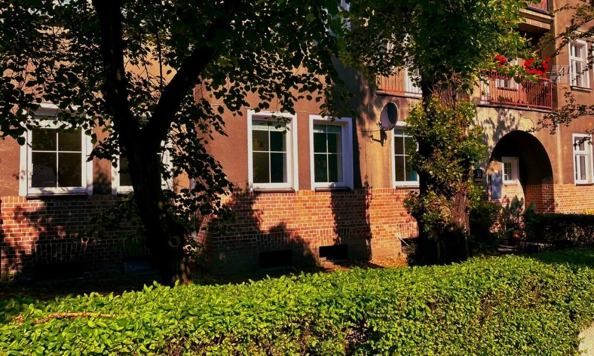 201966_3.jpg