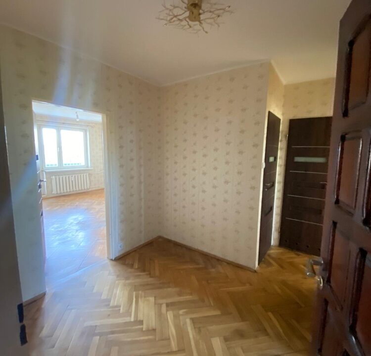 234069_3.jpg