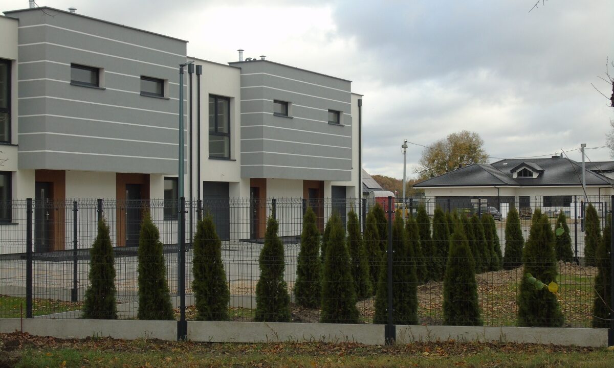 215489_3.jpg