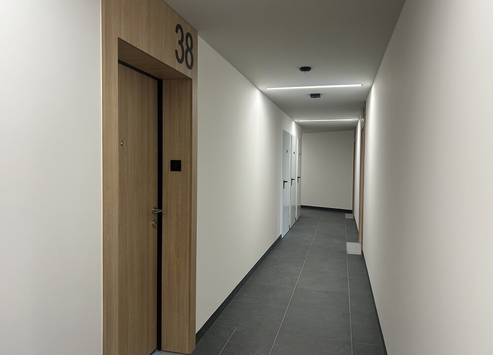 234766_3.jpg