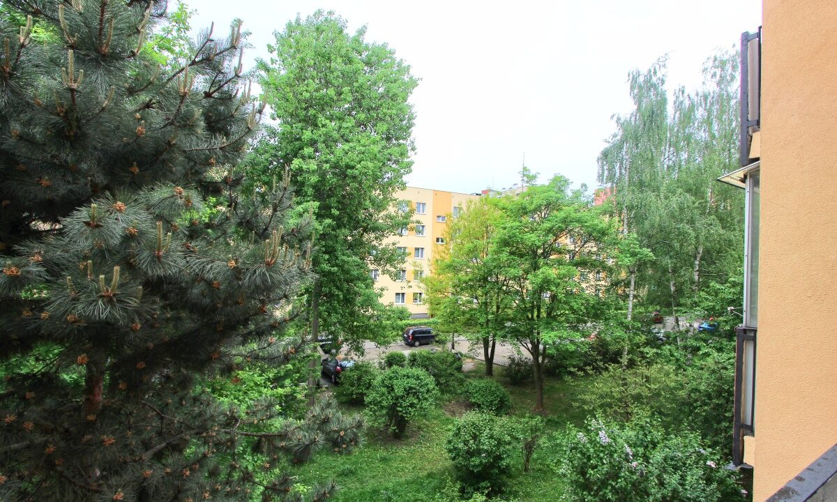 236062_3