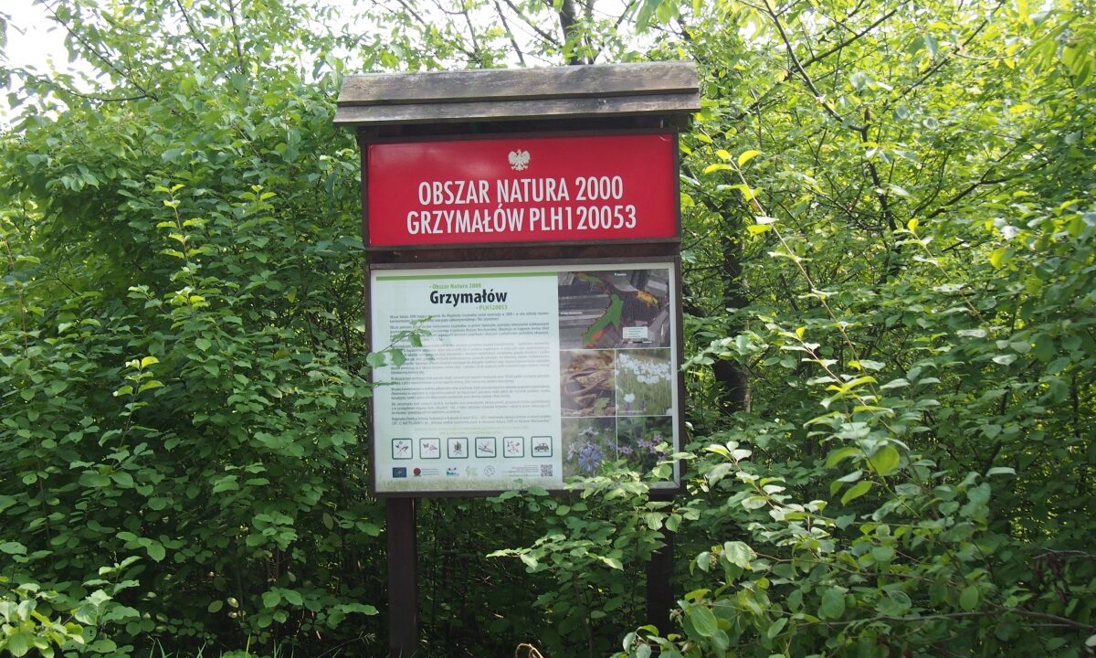 226296_3