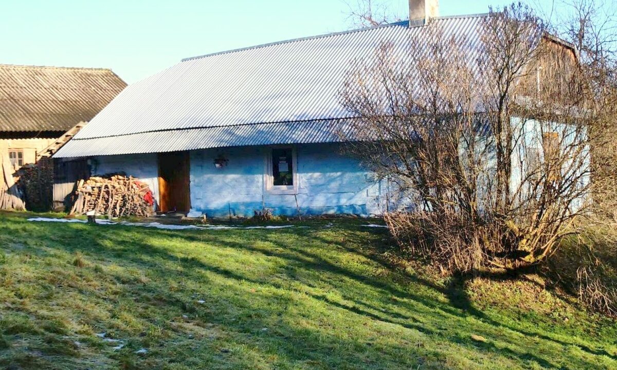 241588_3.jpg