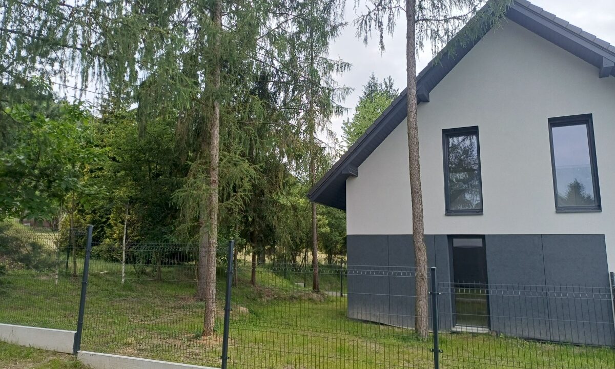 241630_3
