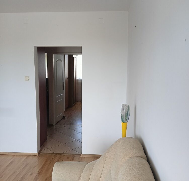 241849_3