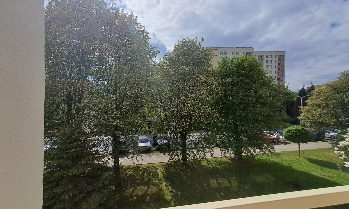 236553_3