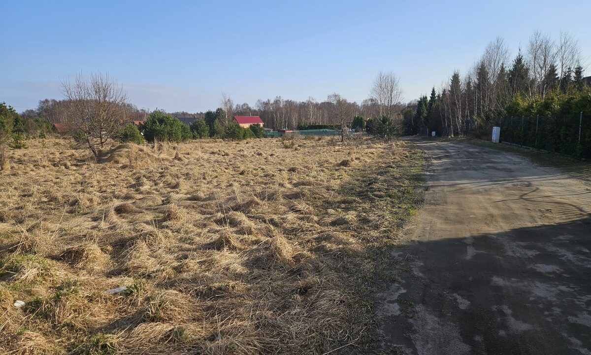 237902_3.jpg