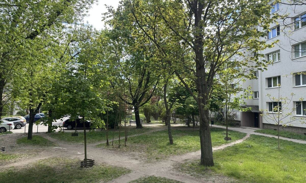 238010_3.jpg