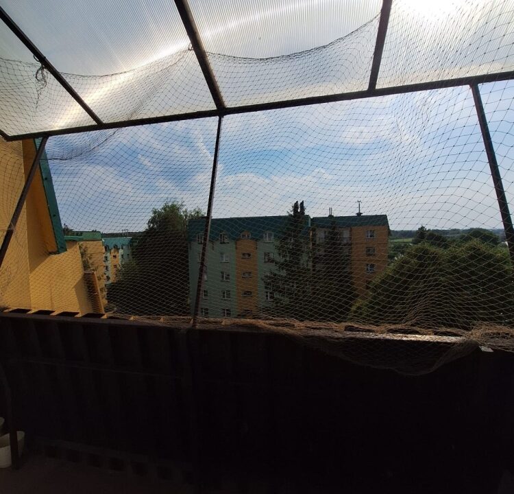 243762_3