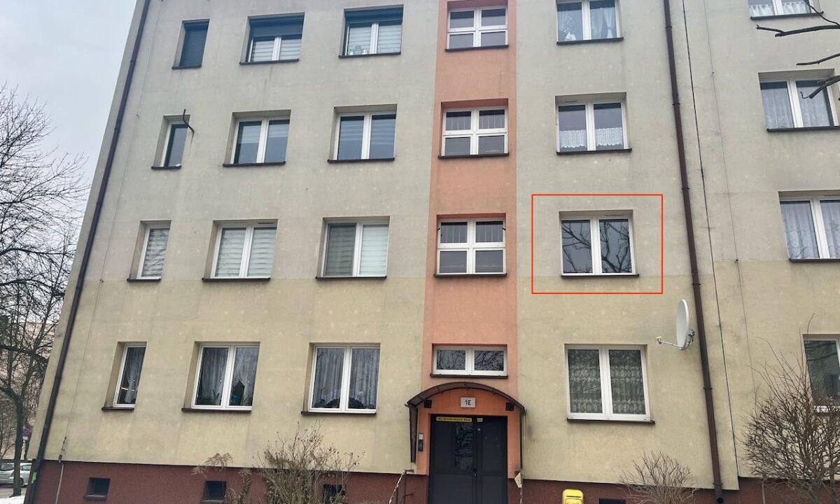 243874_3