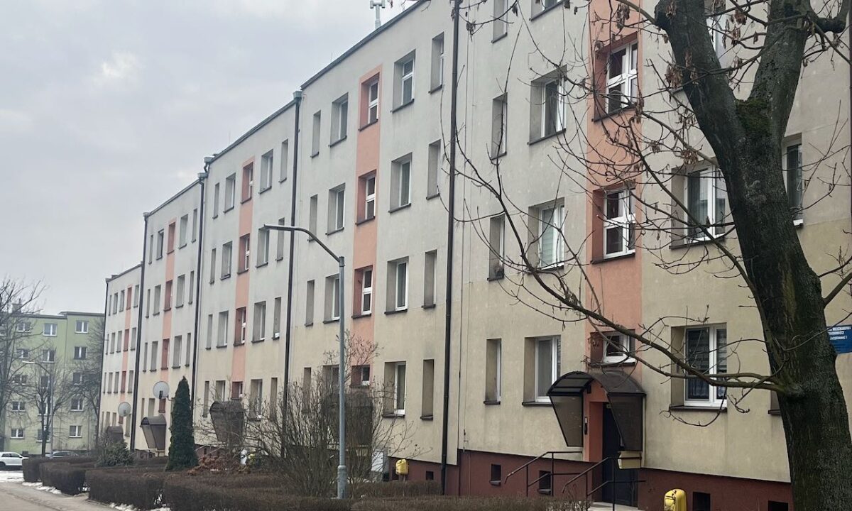 243876_3