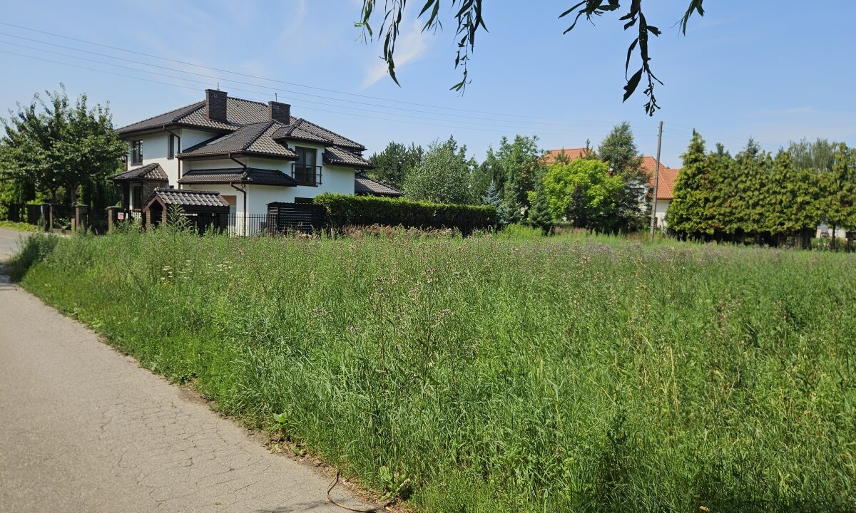 244250_3.jpg