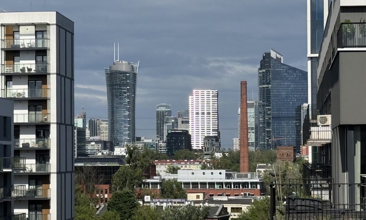 244486_3.jpg