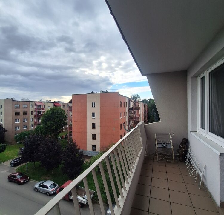 245196_3