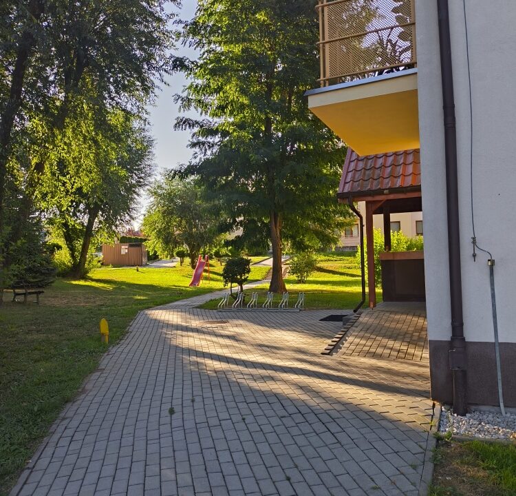 245237_3