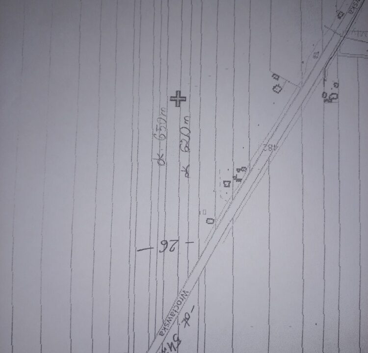 246030_3