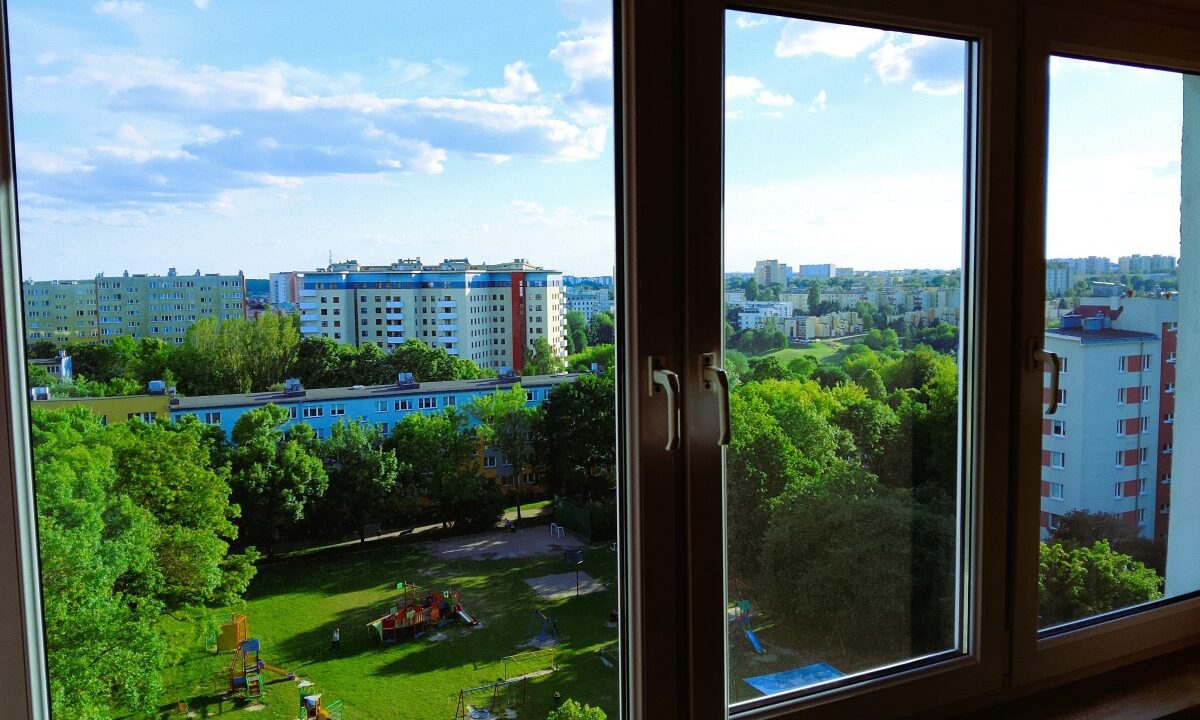 246050_3.jpg