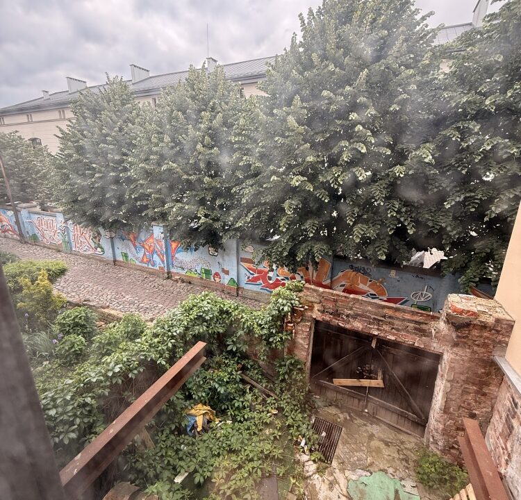 242794_3