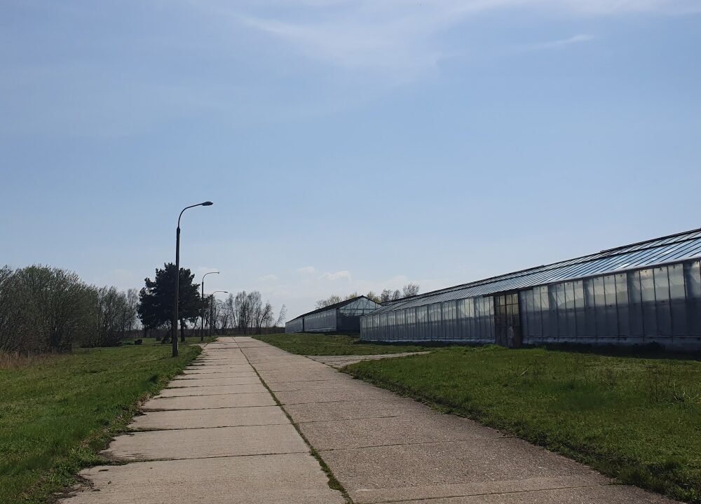 246307_3