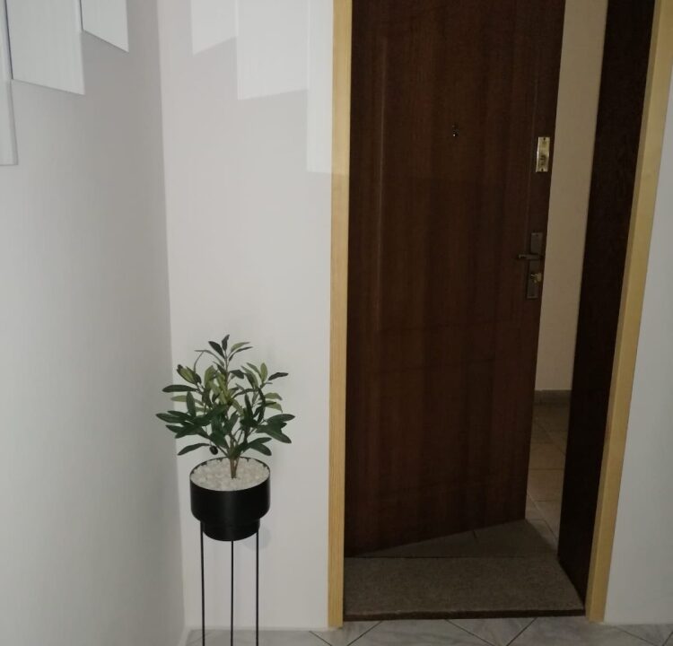 247240_3.jpg