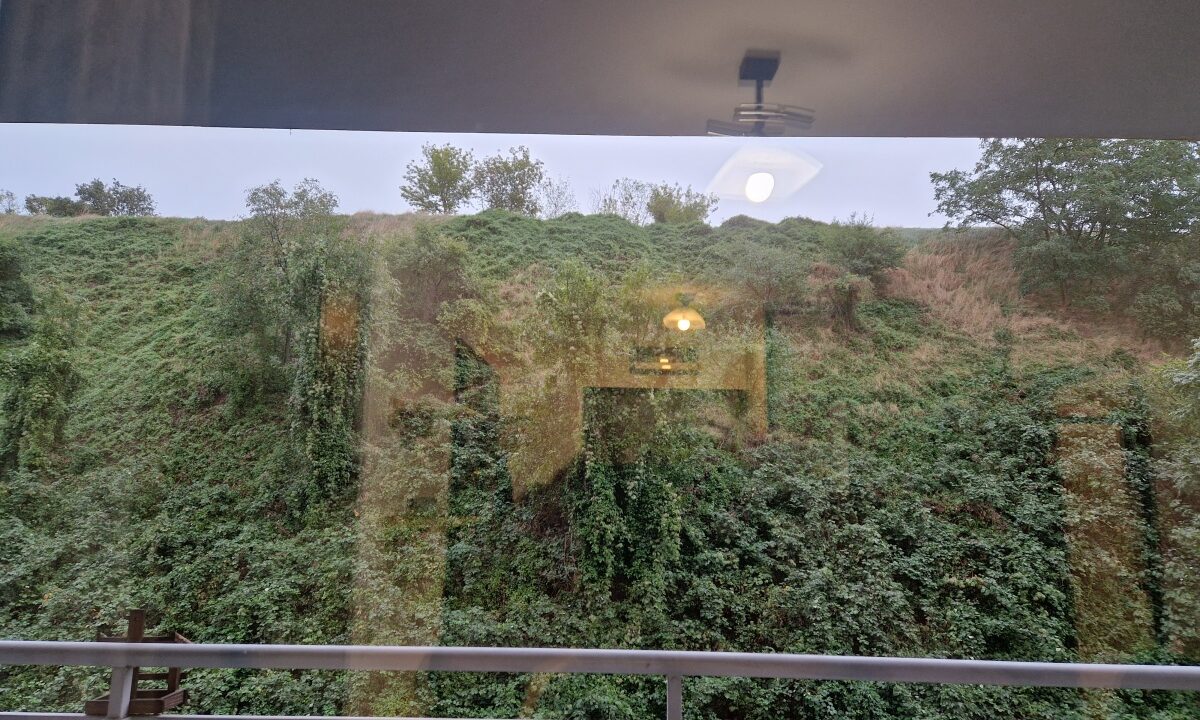 251056_3