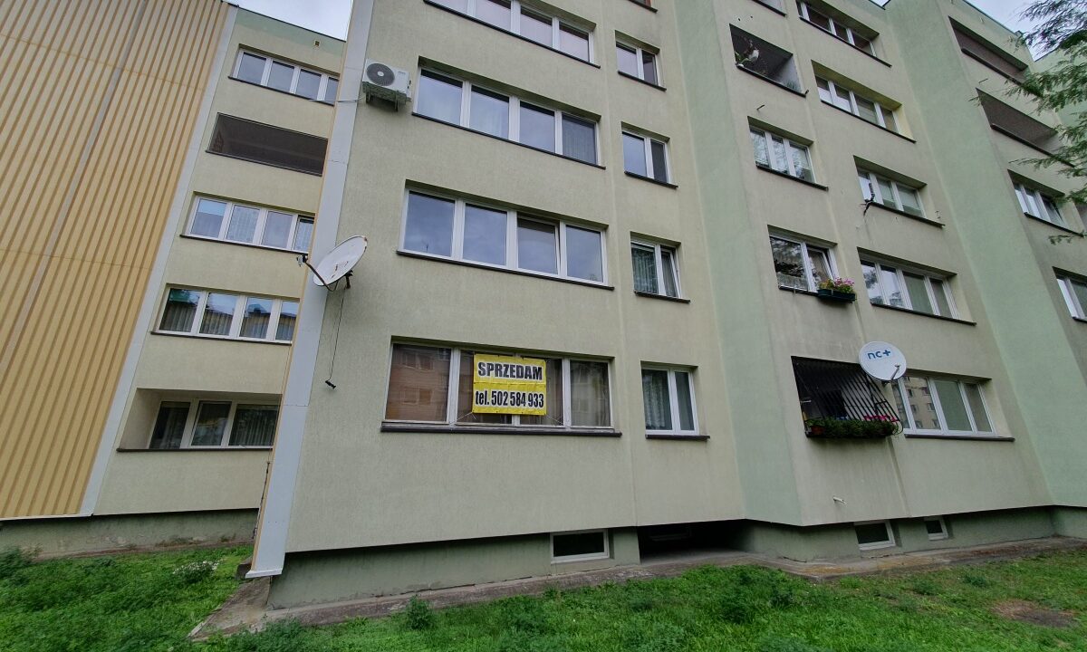 253369_3.jpg