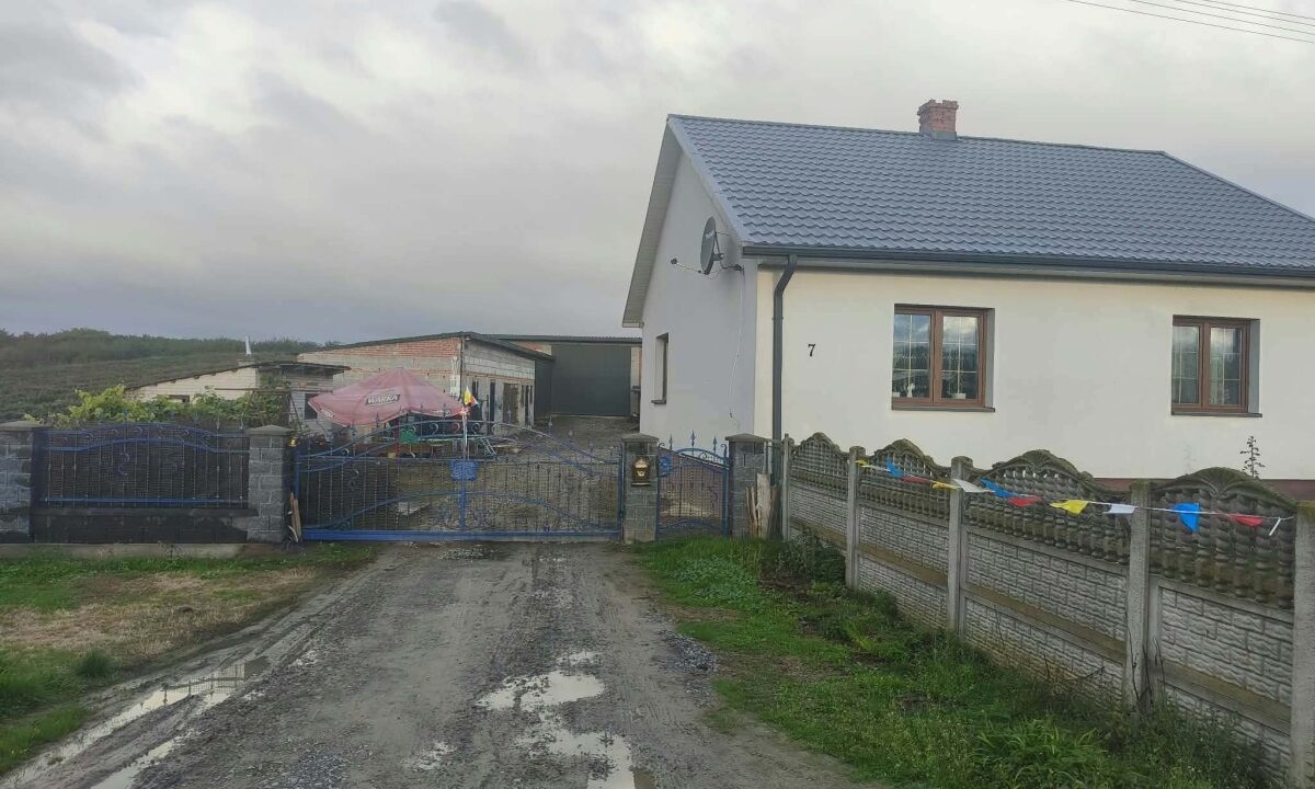 253577_3.jpg